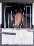 NH051025-87 - Thewoodcorner